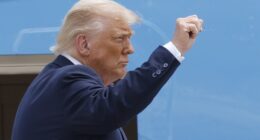 Trump Steps Up to End the Crime, Homeless Takeover After Blue-State Leadership Fail