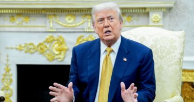 Trump admin responds to WSJ reporting that the president's name appeared in Epstein files