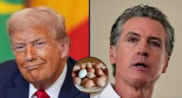 Trump admin sues California over rise in egg prices