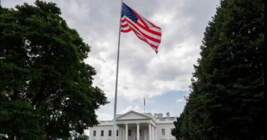 Trump administration launching new private health data tracking system