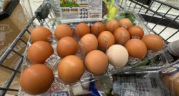 Trump administration sues California over egg prices and blames animal welfare laws