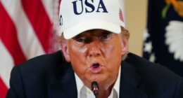 Trump announces new tariffs on Mexico, EU to begin Aug. 1