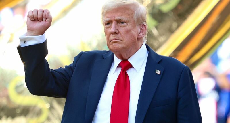 Trump 'asked Zelensky if Ukraine could hit Moscow if given weapons