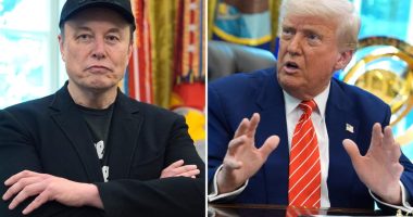 Trump calls Elon Musk's formation of new party 'ridiculous'