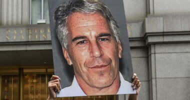 Trump faces a revolt from his MAGA base over the Epstein files