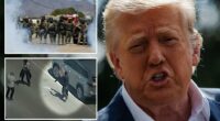 Trump grants ICE ability to arrest protesters who attack agents after California pot farm raid