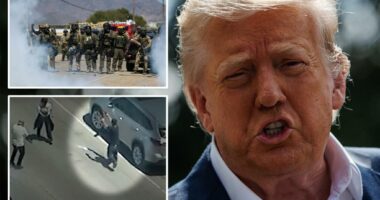 Trump grants ICE ability to arrest protesters who attack agents after California pot farm raid