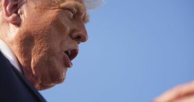 Trump hints at timeline for tariffs on $1.6 billion of Aussie exports