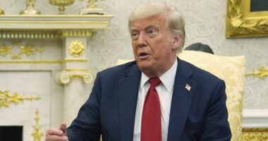 Trump lashes out at 'weaklings' who believe Epstein 'hoax'