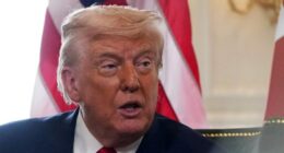 Trump says US will assist with 'food centers' in Gaza