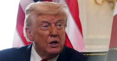 Trump says US will assist with 'food centers' in Gaza