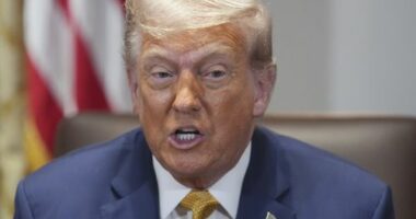 President Donald Trump speaks during a cabinet meeting at the White House, Tuesday, July 8, 2025, in Washington. (AP Photo/Evan Vucci)
