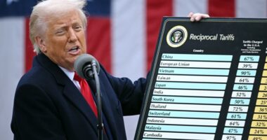 Trump threatens to impose high tariffs on pharmaceuticals and copper