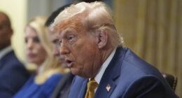 President Donald Trump speaks during a cabinet meeting