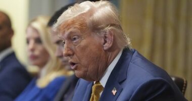 President Donald Trump speaks during a cabinet meeting