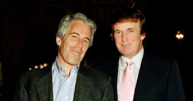 Trump's Epstein excuses CRUMBLE as forensics discover missing footage