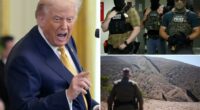 Trump's approval rating on his top issue of immigration slips: poll