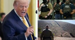 Trump's approval rating on his top issue of immigration slips: poll
