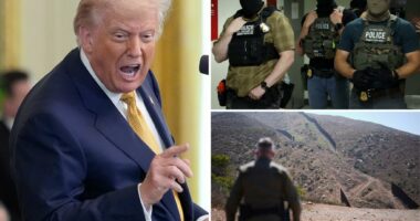 Trump's approval rating on his top issue of immigration slips: poll