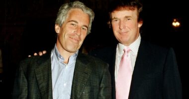 Trump's biggest allies reveal secret Epstein 'cover-up' meetings