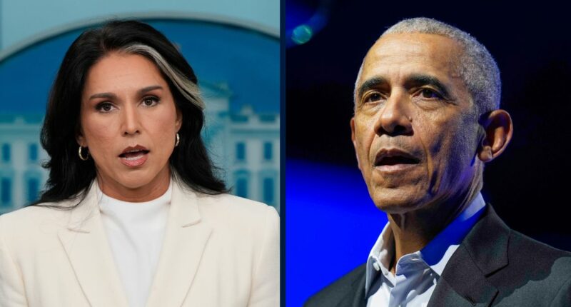 Tulsi Gabbard is wrong: Obama didn't commit treason