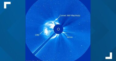Two meteor showers will peak this week: How to watch