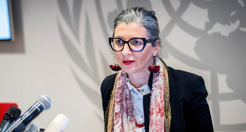 UN report targeting Israel sparks backlash, author accused of overstepping her mandate