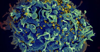 UN warns of millions of AIDS deaths after US funding cuts