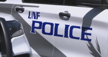 UNF partners with ICE, international students express concern
