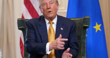 US-EU trade deal will raise costs for companies and consumers