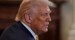 US automakers express worry over Trump's Japan tariff agreement