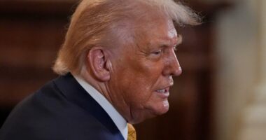US automakers express worry over Trump's Japan tariff agreement