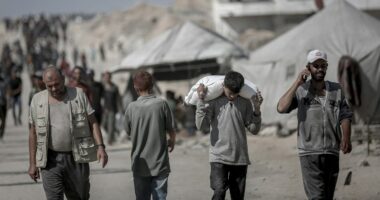 US-backed org sounds the alarm over abandoned aid for Gaza, calls for UN collaboration