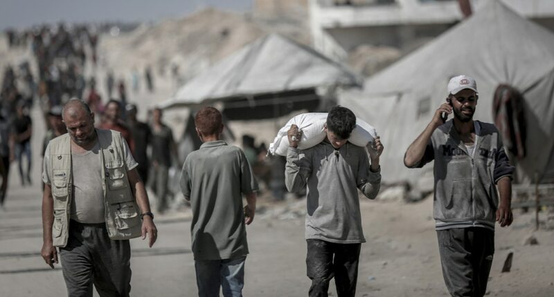 US-backed org sounds the alarm over abandoned aid for Gaza, calls for UN collaboration