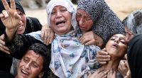 U.S. contractors tell the AP that their colleagues are shooting at Palestinians seeking food in Gaza