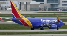 US flight takes dramatic plunge in response to nearby aircraft