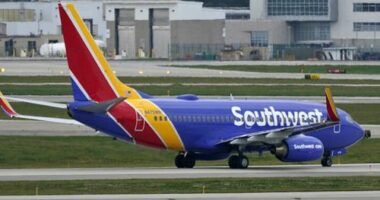US flight takes dramatic plunge in response to nearby aircraft