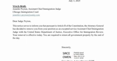US immigration news: Donald Trump's Department of Justice fires Chicago Assistant Chief Immigration Judge Jennifer Peyton