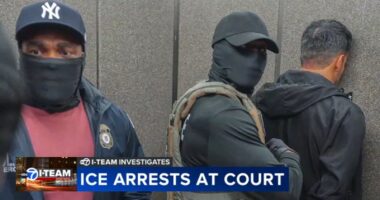 US immigration news: ICE arrests at courts in Chicago, nationwide labeled 'unlawful' in new lawsuit against Trump administration