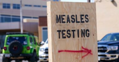 US measles outbreak breaks decadeslong record with new high