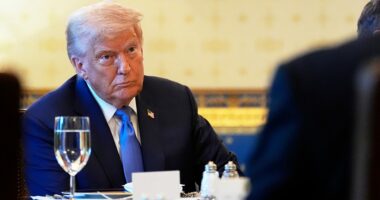US will 'have to' send weapons to Ukraine, Trump says days after Pentagon pause