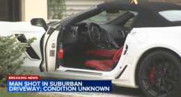 Unincorp. Arlington Heights shooting: Man shot during apparent att. car theft on Galesburg Ave.: witnesses; sheriff investigating