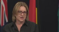 Premier Jacinta Allan said the state would build its own register for childcare workers to give families an additional layer of "checks and balances".