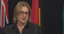 Premier Jacinta Allan said the state would build its own register for childcare workers to give families an additional layer of "checks and balances".