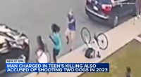 Video shows what led up to Chicago shooting at Douglass Park that killed Marjay Dotson, injured Laquan McDonald's cousin