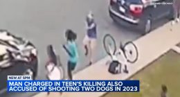 Video shows what led up to Chicago shooting at Douglass Park that killed Marjay Dotson, injured Laquan McDonald's cousin