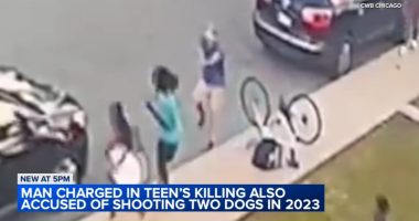 Video shows what led up to Chicago shooting at Douglass Park that killed Marjay Dotson, injured Laquan McDonald's cousin