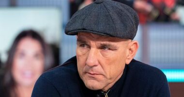 Vinnie Jones' firm went bust with £270K debt