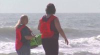 Volunteers tackle beach cleanup in Volusia County after July 4