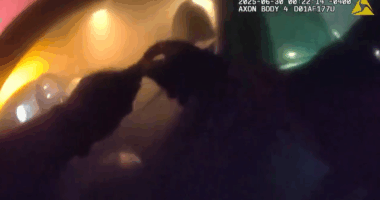 WATCH: Sarasota police rescue unconscious driver moments before car goes up in flames